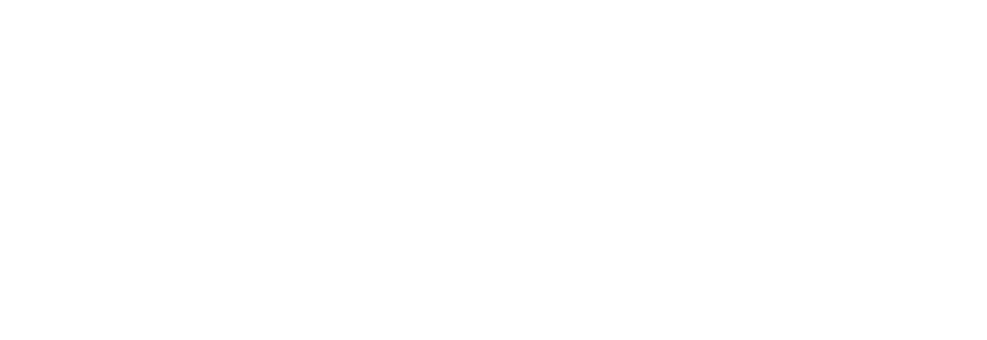 FisioFlow